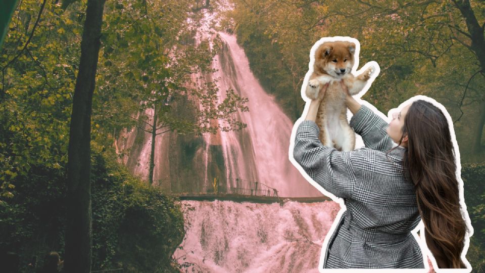 El clima para este domingo estará ideal para disfrutar de actividades al aire libre.