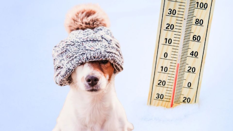 Algunas entidades vivirán el frío en su mayor esplendor, con temperaturas por debajo de los 0 grados centígrados.