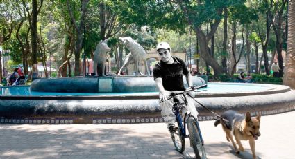 'Sobornos y mala regulación amenazan el Centro Histórico de Coyoacán': Mauricio Aguilar Madrueño