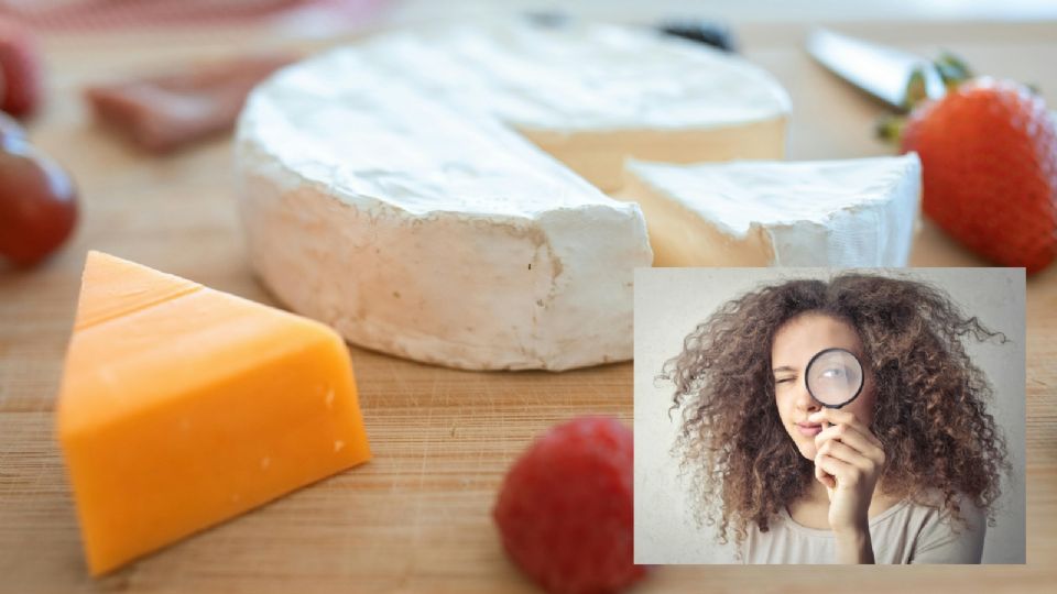 La diferencia entre el queso común y el plastiqueso y cómo identificar uno y otro