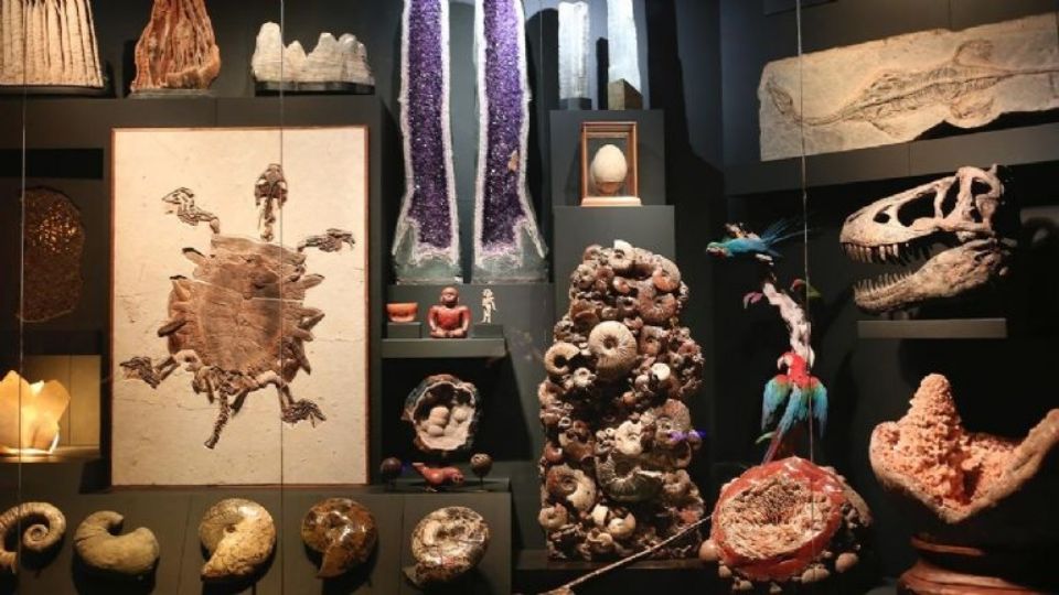 ¿Qué hay en el Museo La Milarca en Monterrey?