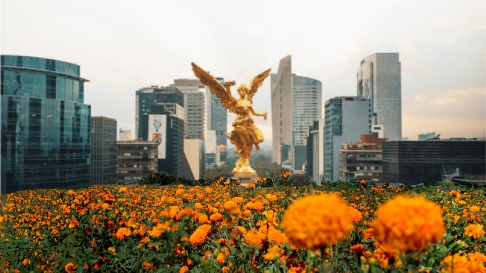 Festival de las Flores de Cempasúchil llega a la Ciudad de México con motivo del Día de Muertos.