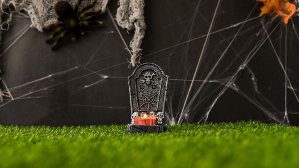 Se busca crear un cementerio de mascotas.