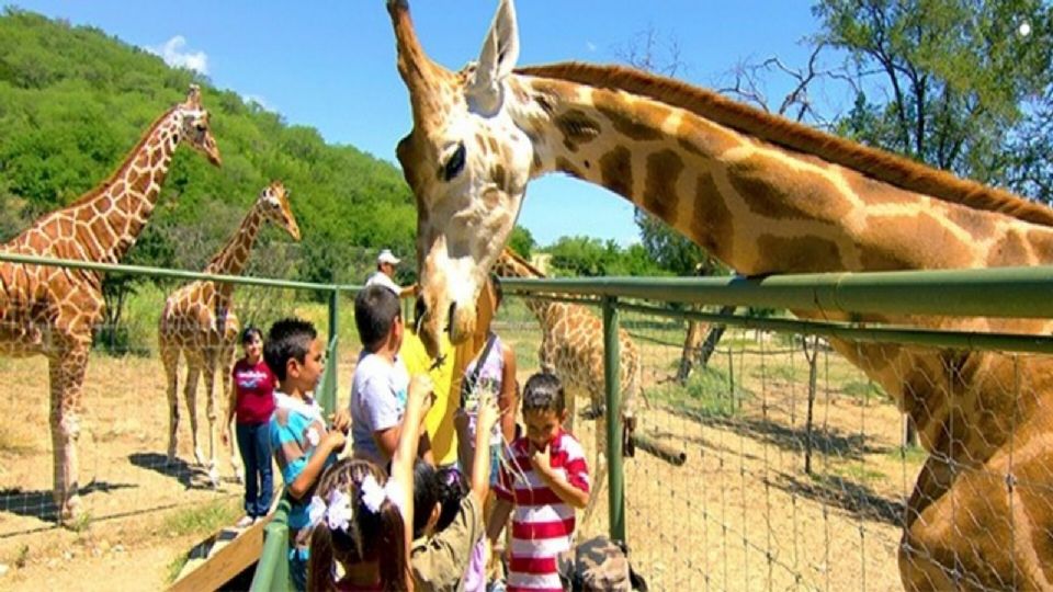 El Bioparque Estrella Monterrey es un espacio de convivencia sana entre humanos y animales.