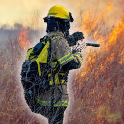 ¿Qué relación tiene el humo de los incendios con el cambio climático? Esto dice la ciencia