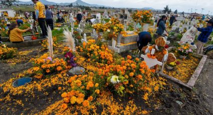 Día de Muertos: Monterrey se prepara para recibir a 50 mil visitantes en panteones municipales