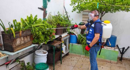 San Nicolás fumigará más de 400 colonias ante aumento de dengue