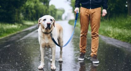 Clima en Monterrey hoy 22 de octubre: ¿Continuarán las fuertes lluvias?