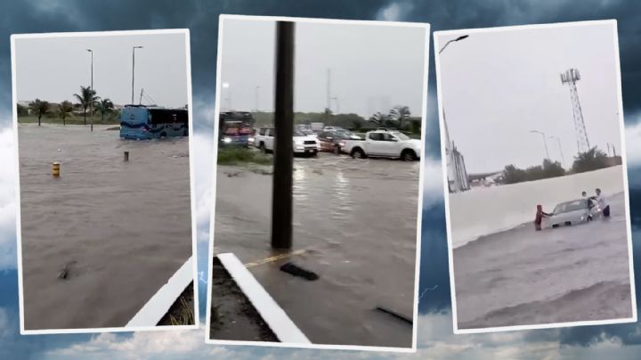 ¡Veracruz bajo el agua! Lluvias generan severas inundaciones, socavones y la caída de una construcción