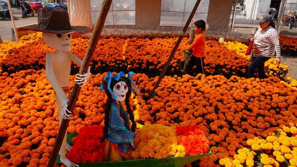 Los productores de la CDMX se preparan para la venta de flor en este temporada