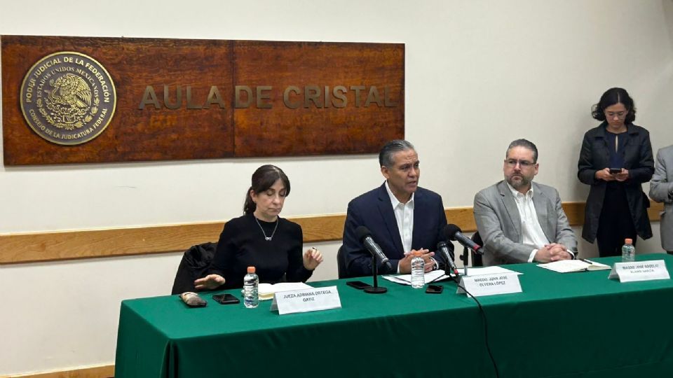 Tras asegurar que las decisiones judiciales se atacan o se acatan, el magistrado Juan José Olvera López aseveró que la jefa del Ejecutivo federal está mal informada.