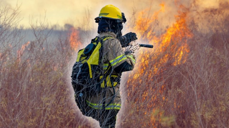 El cambio climático influye cada vez más en el comportamiento de los incendios.