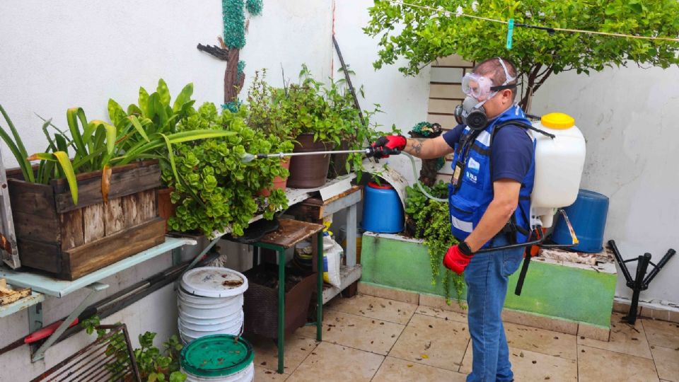 Fumigación ante aumento de Dengue