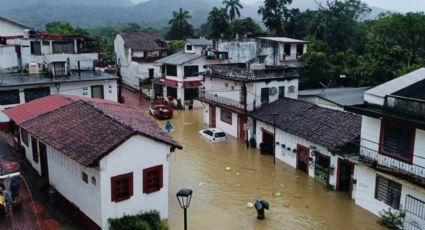 FOTOS: Inundaciones, muertos y un delfín varado: Los estragos de la Tormenta Tropical 'Nadine' en México