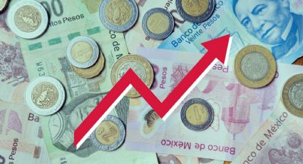 INEGI: inflación se ubica en 4.69 % en primera quincena de octubre; ¿qué productos subieron de precio?