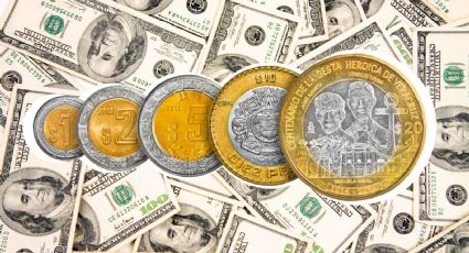 Precio del dólar hoy 24 de octubre: Así cotiza frente al peso mexicano en los bancos