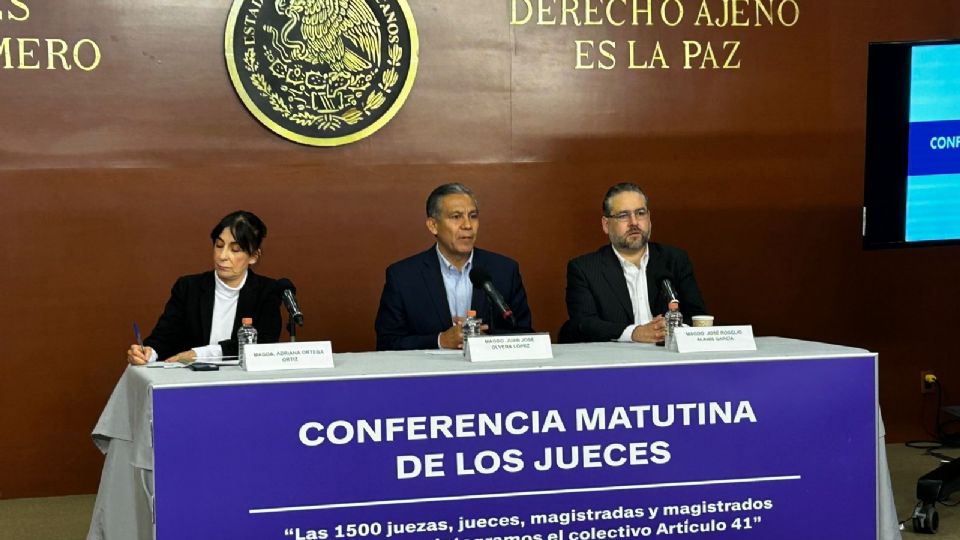 Magistrados afirman que e INE enfrenta un escenario difícil, pues tendrá que decidir qué es lo que hará ante las resoluciones por reforma judicial.
