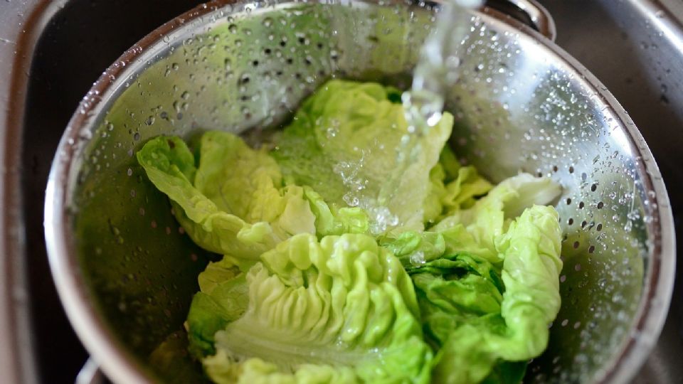 Un brote de E. coli en EE.UU., vinculado a hamburguesas de McDonald's, causó alarma. Aprende a desinfectar la lechuga y evitar riesgos en casa.