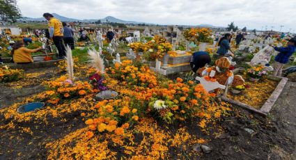 Día de Muertos 2024: ¿En qué orden llegan los difuntos día por día?