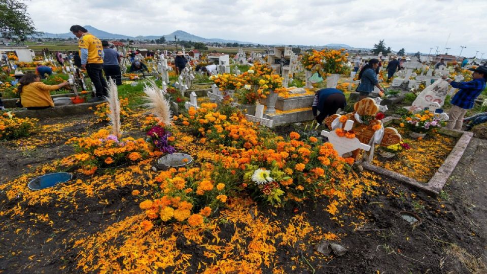 Descubre qué día llega cada difunto para poder conectarte con sus recuerdos este Día de Muertos 2024.