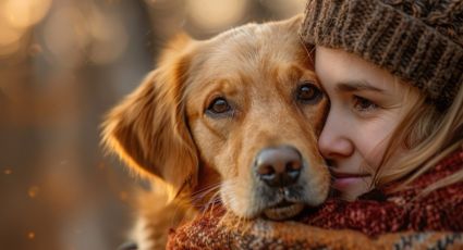 El 73% de los estadounidenses se sienten ansiosos por las elecciones, pero un perrito sería la solución