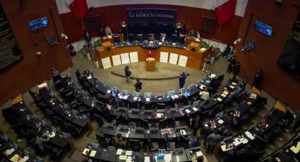 Por unanimidad, el Senado de la República avaló, en comisiones, la reforma en materia de bienestar