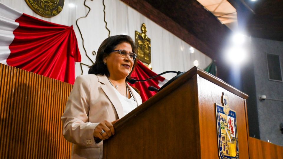 La propuesta fue presentada por la emecista Sandra Pámanes.