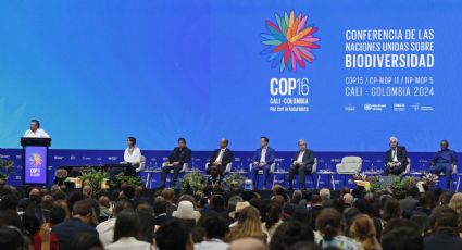 COP16: Desafíos urgentes para proteger la biodiversidad global