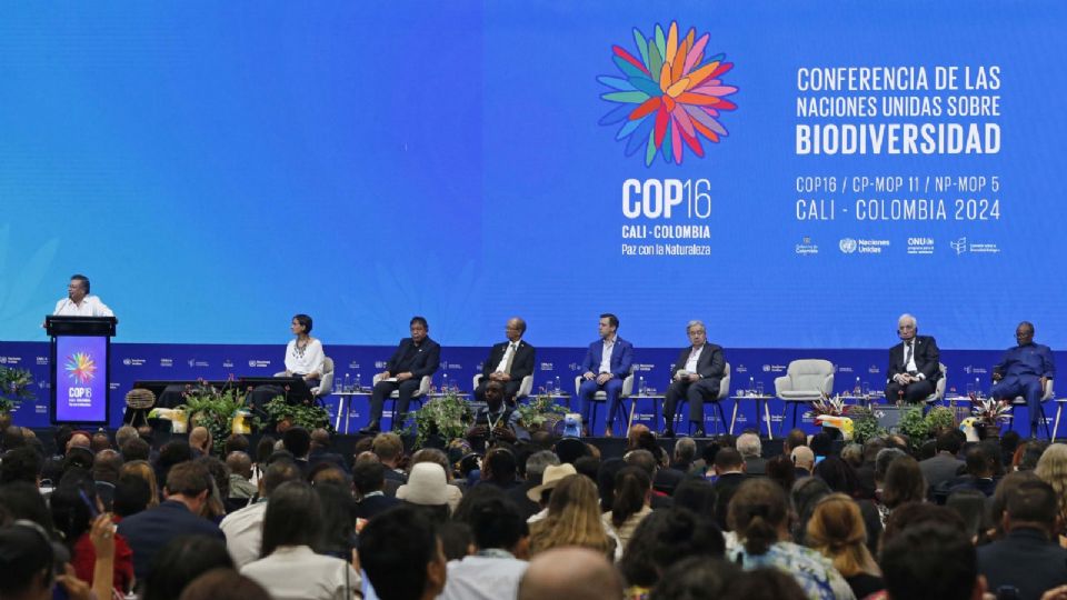 La COP16 se llevó a cabo en Colombia.