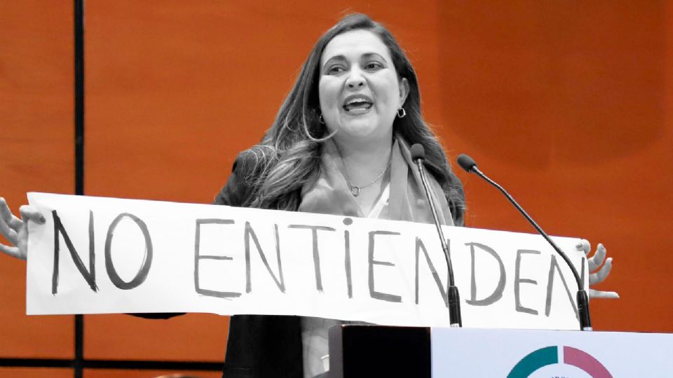 La senadora contó que hará tras esta renuncia.