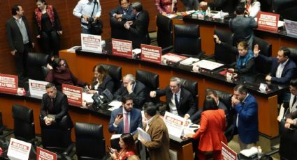 El senado ha recibido 845 declinaciones de juzgadores que no participará en la elección de 2025