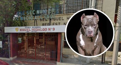 Perro pitbull ataca a seis alumnos de la Secundaria número 9 en Monterrey