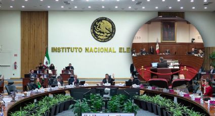 Consejeros del INE avalan controversia contra reforma que da más facultades a Guadalupe Taddei