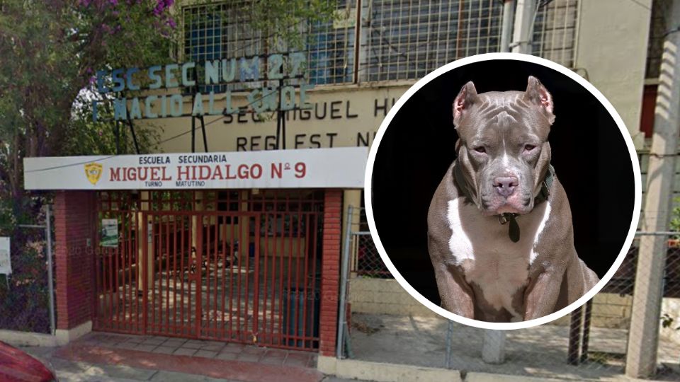 Perro pitbull ataca a seis alumnos de la Secundaria número 9 en Monterrey