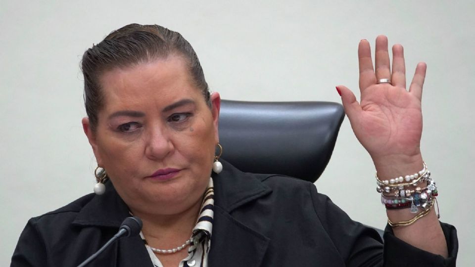 Refrenda Taddei Zavala desacuerdo con la decisión de impugnar sus facultades ante la Corte, tomada por la mayoría en el Consejo General.