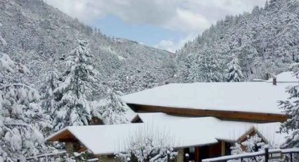 3 lugares de México donde cae nieve y puedes disfrutar de unas merecidas vacaciones en invierno