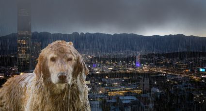 Clima en Monterrey: ¿Seguirán las lluvias este domingo 06 de octubre?