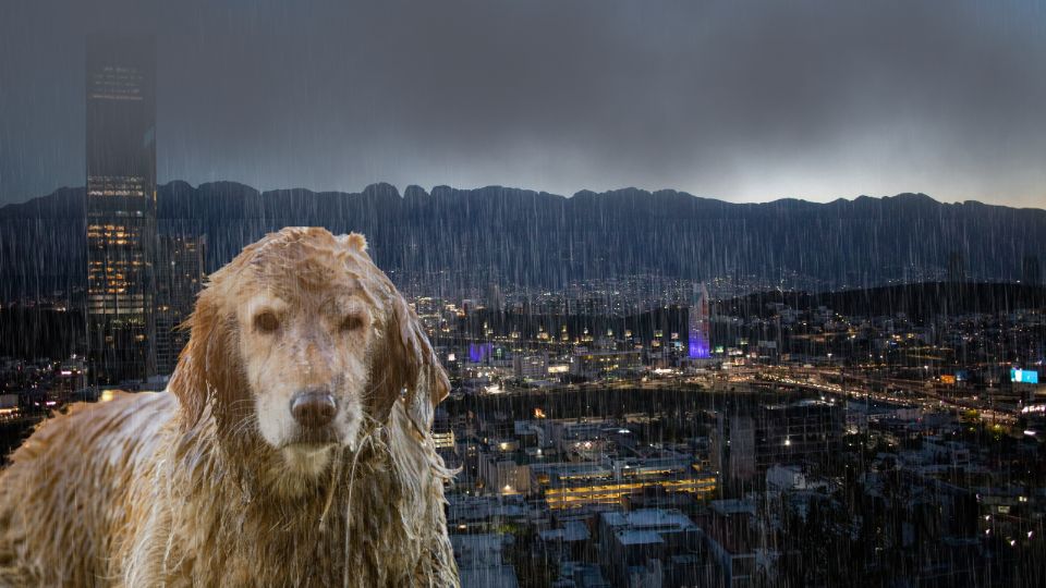 Clima en Monterrey: ¿Seguirán las lluvias este domingo 06 de octubre?