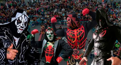 ¿Cuántas Parkas existen en el universo de la Lucha Libre?