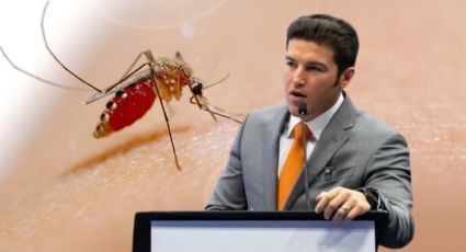 Exhortan al gobernador a declarar emergencia por dengue en Nuevo León