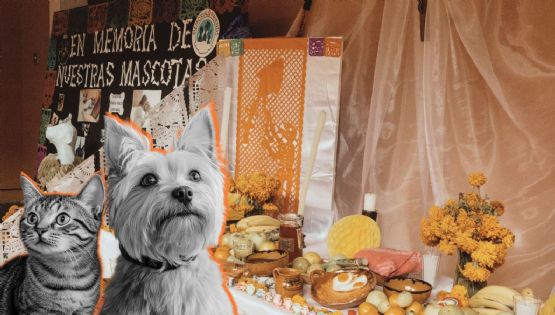 ¿Cuándo se celebra el Día de Muertos para mascotas en México y cómo se prepara el altar?