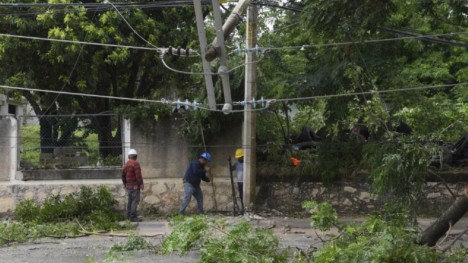 Más de 900 trabajadores se unieron para dar solución al problema.
