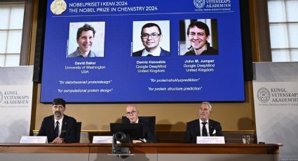 Premio Nobel de Química 2024 para Baker, Hassabis y Jumper por sus investigaciones con las proteínas