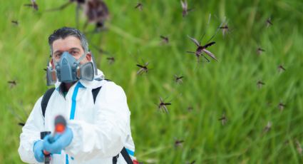 ¿Cómo evitar la reproducción de mosquitos en el agua?