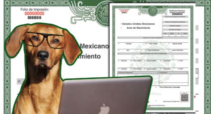 Así puedes sacar tu acta de nacimiento por internet 