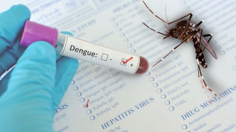 El dengue es una amenaza seria que puede prevenirse
.