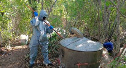 Sedena, CENFI y CNI aseguran laboratorio clandestino en Navolato, Sinaloa