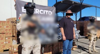 Ejército Mexicano asegura más de 450 kilogramos de cocaína en Sonora