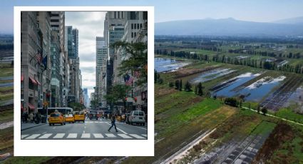 Vivir / habitar en la ciudad