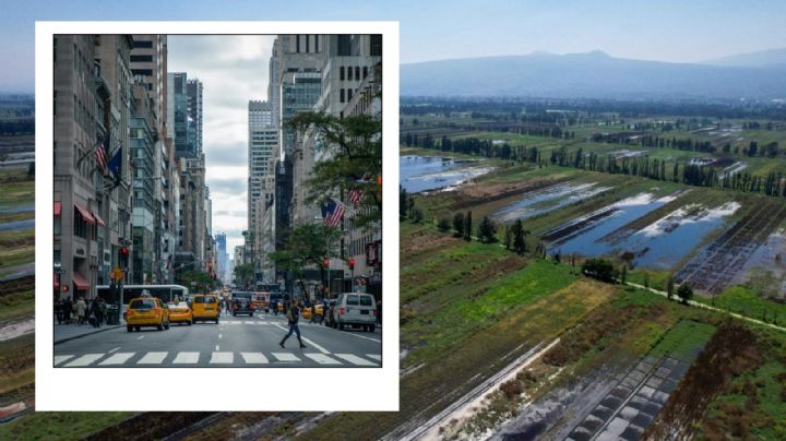 Vivir / habitar en la ciudad